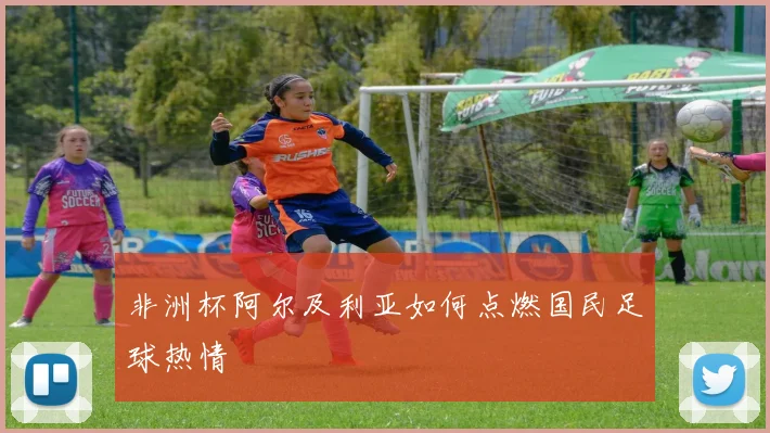 非洲杯阿尔及利亚如何点燃国民足球热情