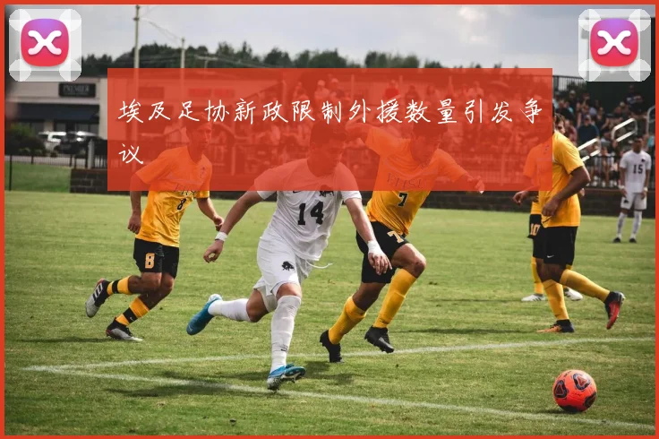 埃及足协新政限制外援数量引发争议