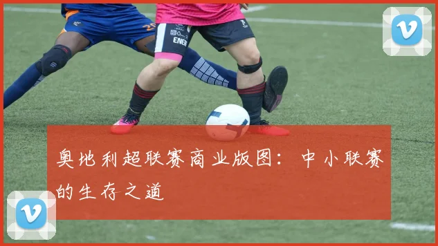 奥地利超联赛商业版图：中小联赛的生存之道