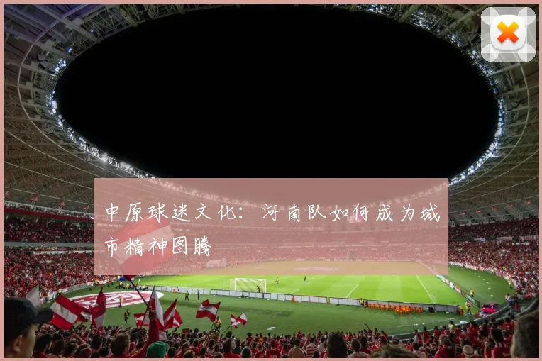 中原球迷文化：河南队如何成为城市精神图腾