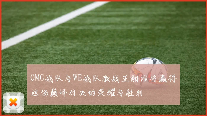 OMG战队与WE战队激战正酣谁将赢得这场巅峰对决的荣耀与胜利